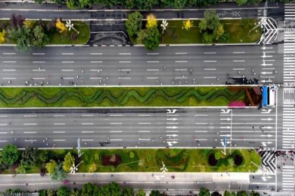 世界体育冠军最多的项目排行榜(图1)